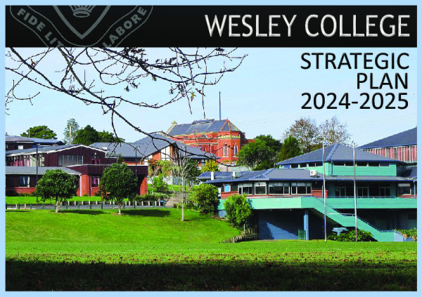 Strategic Plan 2024 2025 For Website