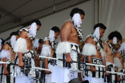 POLYFEST - Tongan Groups