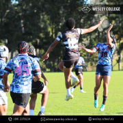 U15 and 1st XV Development Squad play against two visiting sides from Japan