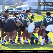 U15 and 1st XV Development Squad play against two visiting sides from Japan