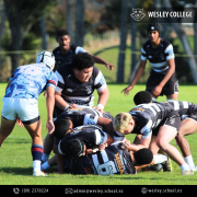 U15 and 1st XV Development Squad play against two visiting sides from Japan